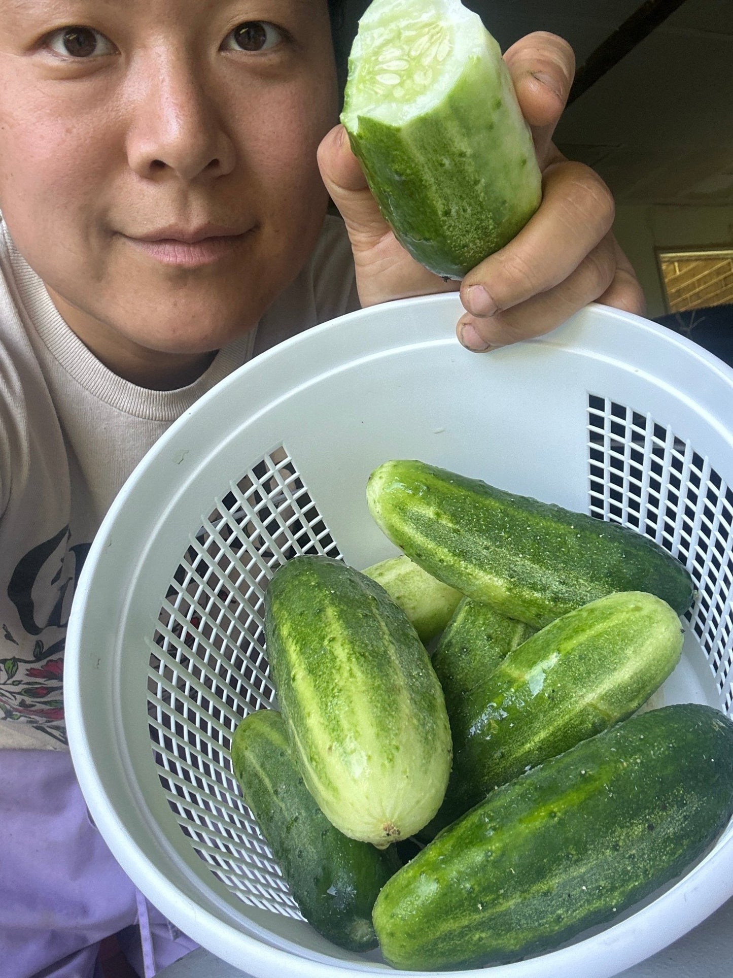 Cucumbers - Froggy House Organic Farm and Chocolate Factory