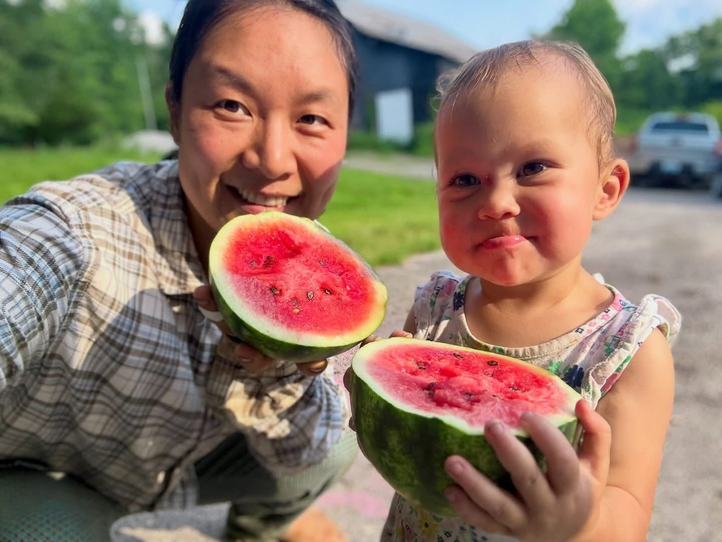 Watermelon